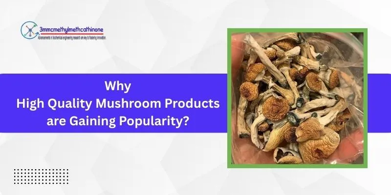 High Quality Mushroom Products
